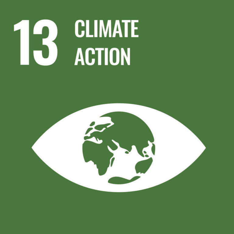 UN SDG 13 - Climate action