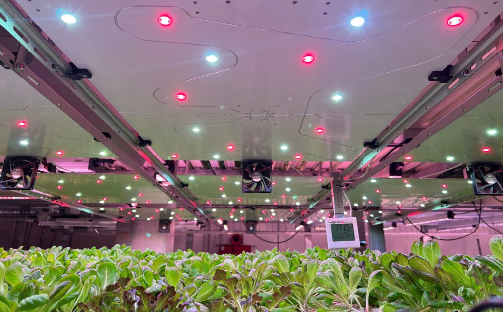 LED light panels Vertical farming illuminating a layer of crops, leafy greens