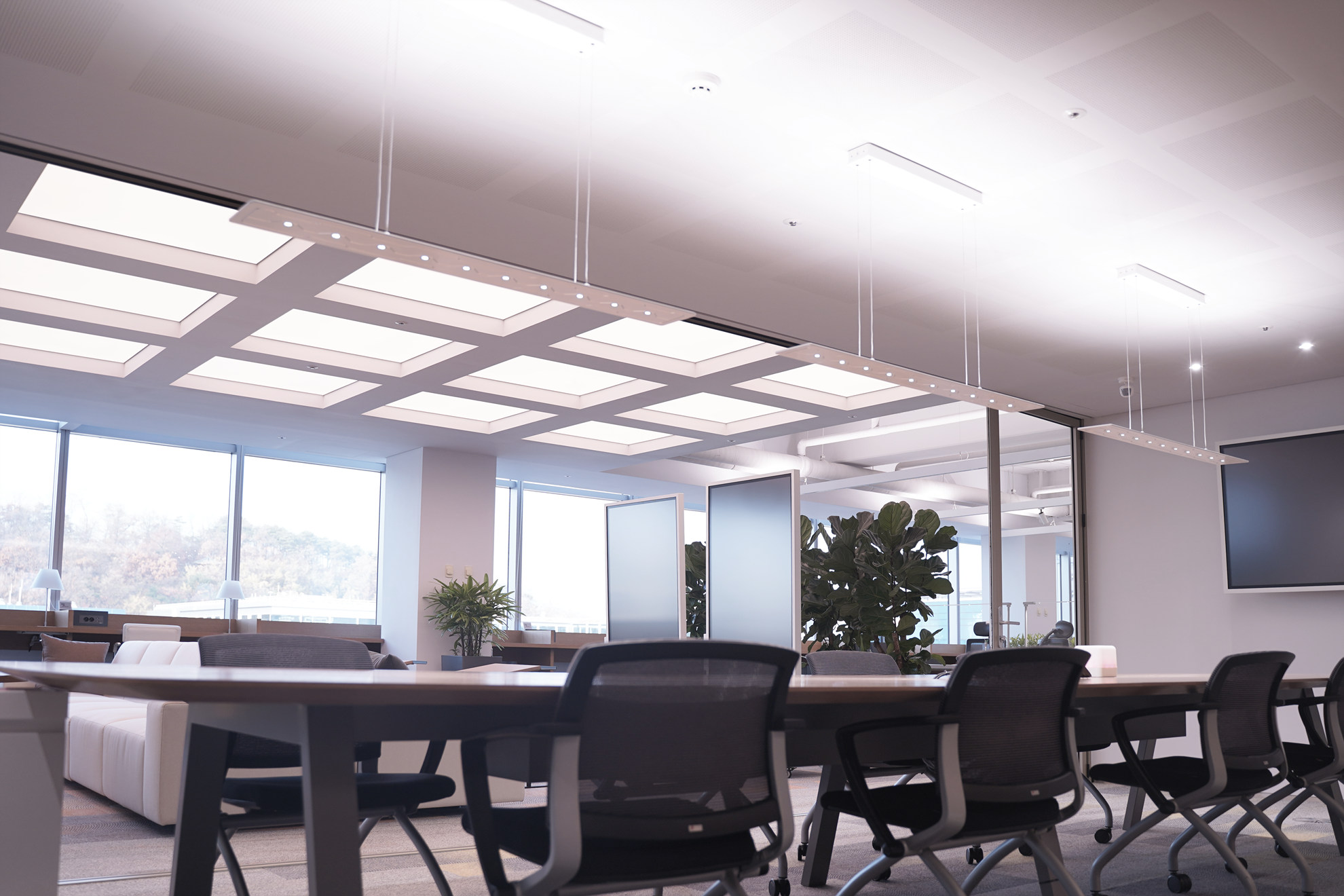 Three of our minimalistic luminaire, The Plane, lighting up a beautiful office space
