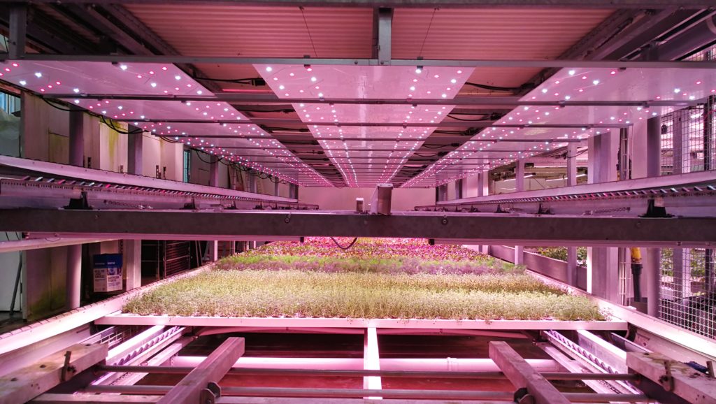 Vertical farming grow lights layer with crops