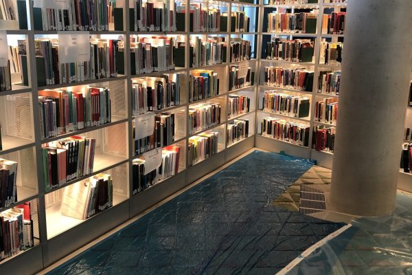 Illuminated book shelves